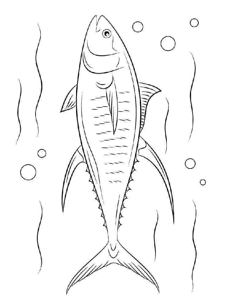 Tuna fish coloring pages. Download and print Tuna fish coloring pages.